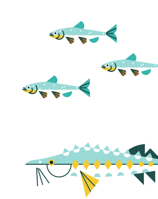 Right group of fish