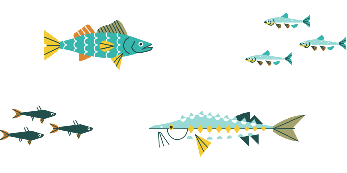 Group of fish